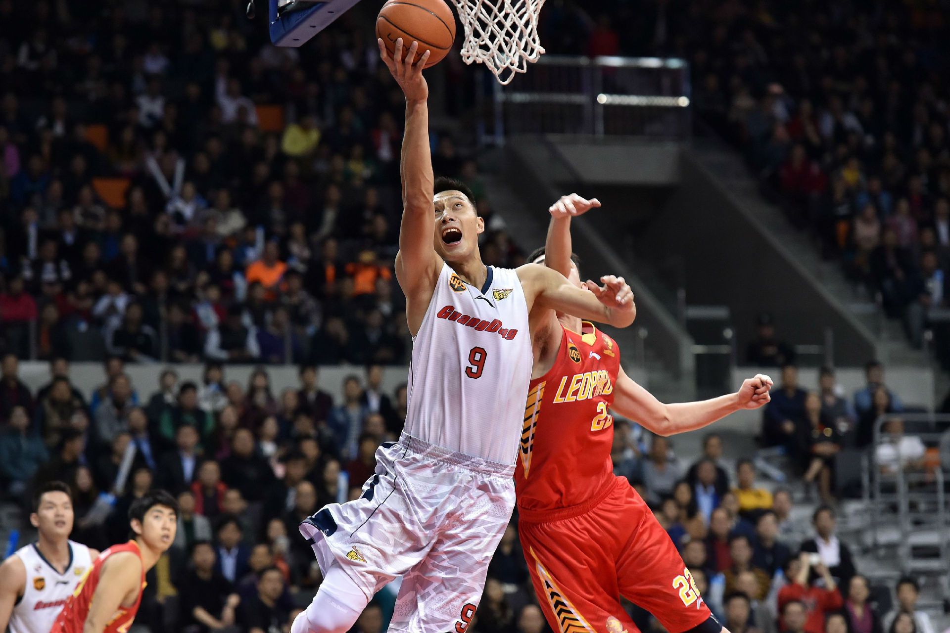 山东省的普 山东省的普